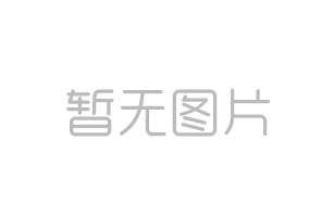 山東重工機(jī)關(guān)黨委組織開展“黨員樹先鋒·點(diǎn)亮生態(tài)綠”植樹活動(dòng)